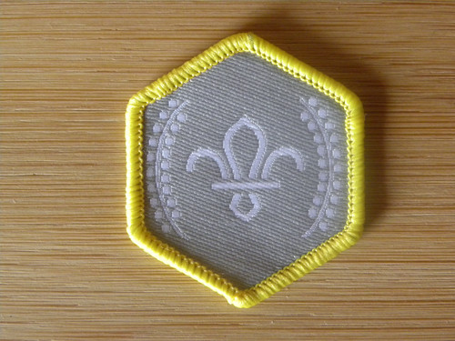 Current scouting cub scout - scouting,