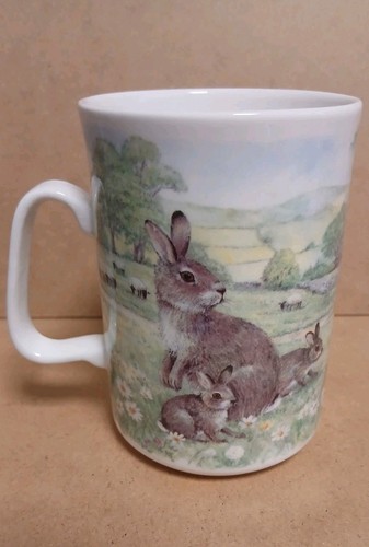 Ashley bunny rabbit fine - rabbit, bone