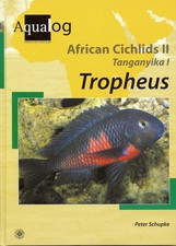 Aqualog: African Cichlids II