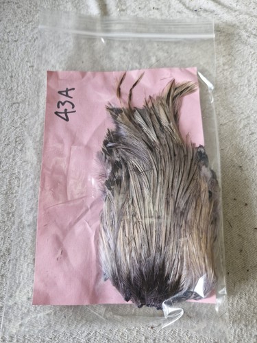 Cock cape fly - cock, tying