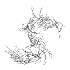  Willow Branches: Black Halloween Vine Garland - Plastic Creepy Twig Decor For