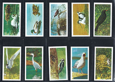 BROOKE BOND - BRITISH BIRDS - FULL SET OF 20 CARDS
