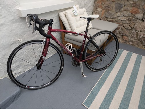 Specialized dolce comp size - specialized,