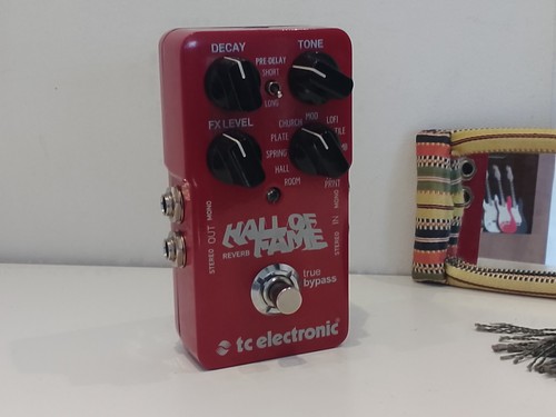 Electronic hall fame - tc, of