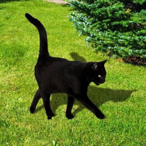 Black cat garden stake - cat,