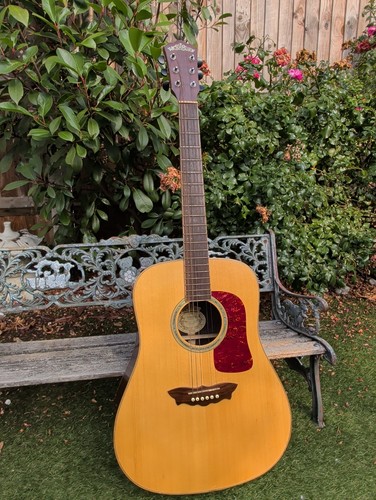 Vintage washburn d200swm solid - vintage,
