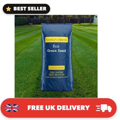 Fast growing eco grass seed - eco,