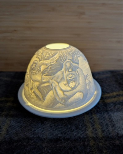 Nordic lights orangutan - lights,