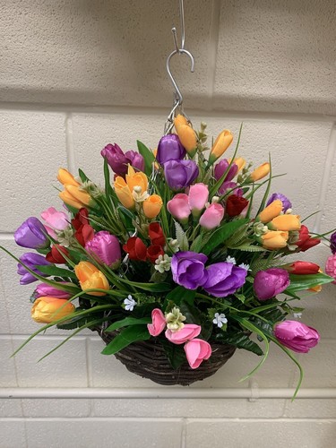Tulips crocuses hanging basket - crocuses,