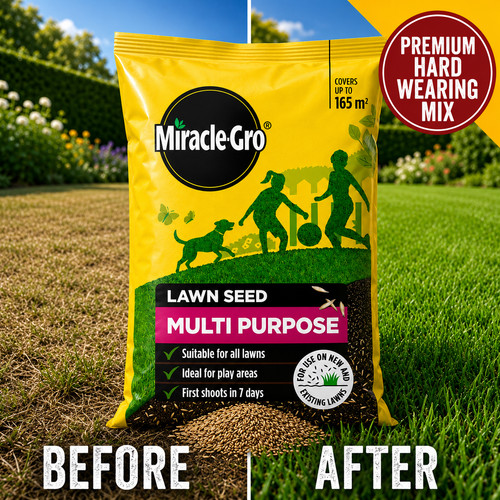 5kg grass seed - grass, quality