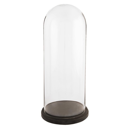 60cm glass display bell - display, jar