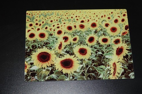Small glass chopping board/