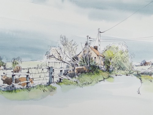 Original watercolour ink - original,