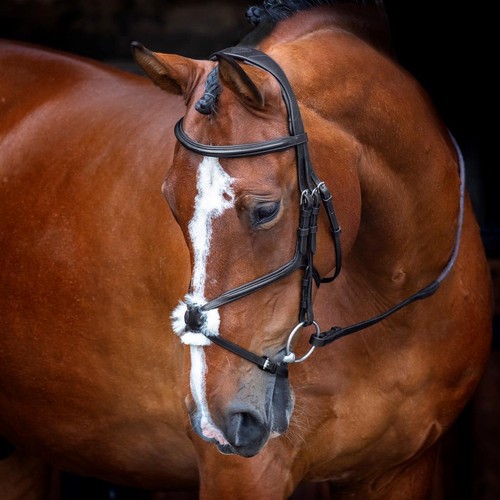 Shires velociti rapida - shires,