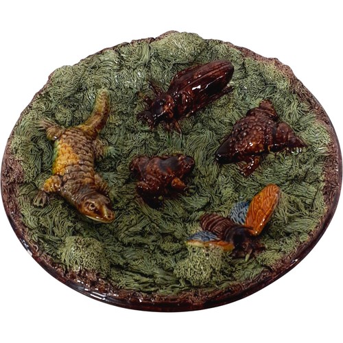 Rare vintage carvalho palissy - carvalho,