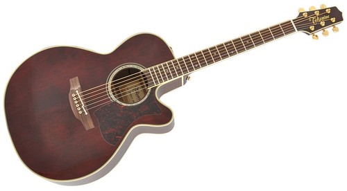 Takamine dmp551c acoustic - wr,