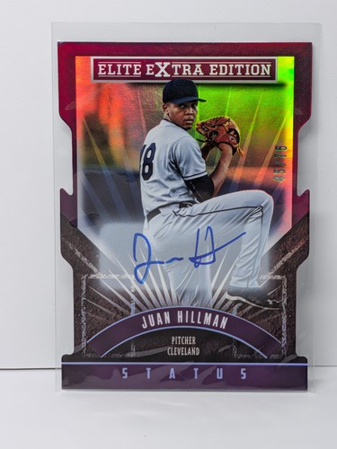 2015 panini juan - panini,
