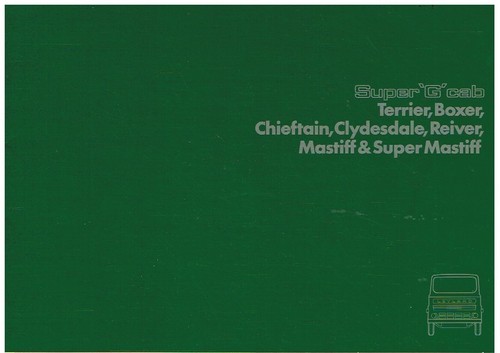 Leyland terrier boxer - terrier,