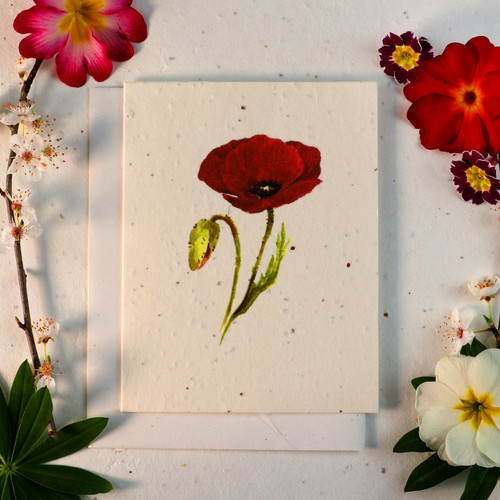 Seeded paper eco - seeded, eco-friendly