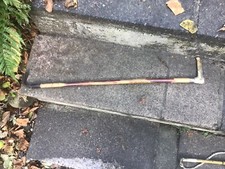 Silver Collared Thick Hunting