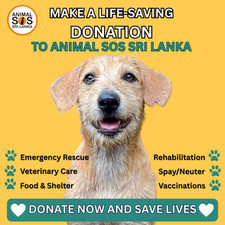 DONATE to Rescue, Heal, Feed