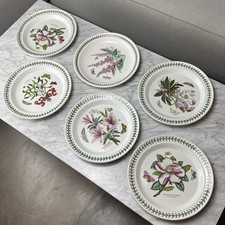 Set Of 6 Vintage PORTMEiRiON BOTANIC GARDEN 10.5" FLOWER DINNER PLATES 