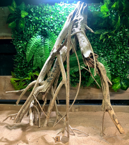 Talawa wood aquascaping - wood,