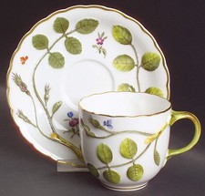 Royal Worcester Blind Earl  Cup & Saucer 849671
