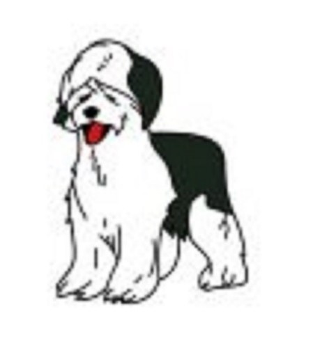 Old english sheepdog - old, paint