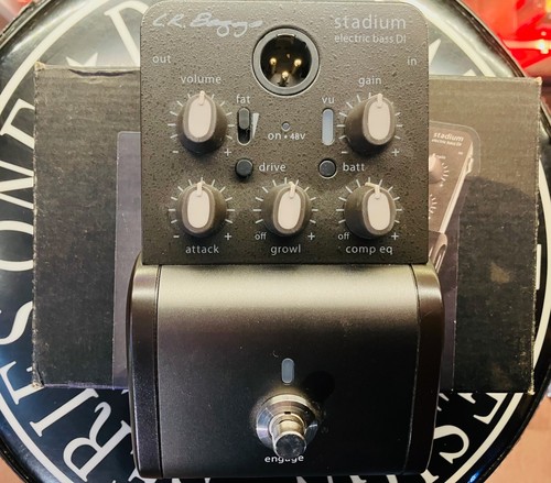 Baggs stadium bass - lr,