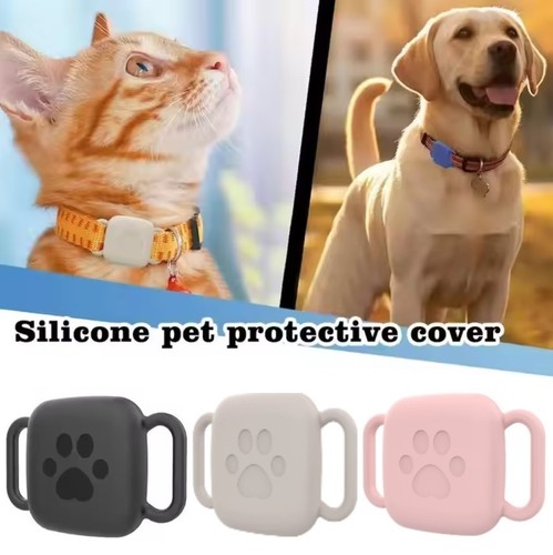 Cat dog pet - , for