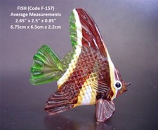 BEAUTIFUL GLASS FISH