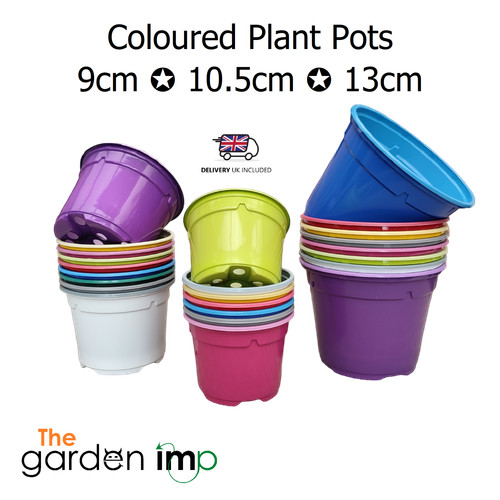 Plant pots plastic - plant, 9cm