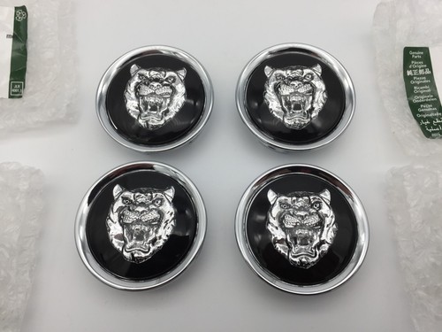 Genuine jaguar black - genuine, silver