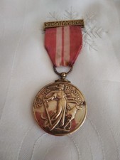 WW2 IRISH EMERGENCY SERVICE MEDAL 1939-1946 2 CLASP NA FORSAÍ COSANTA ARMES...