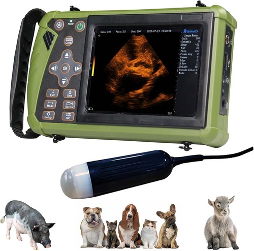 Portable veterinary ultrasound - veterinary,