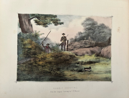 Antique print rabbit shooting - antique,