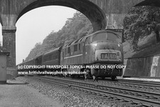 WARSHIP DIESEL RAILWAY PHOTOGRAPH D818 GLORY Sonning Cutting Up Passenger 1964