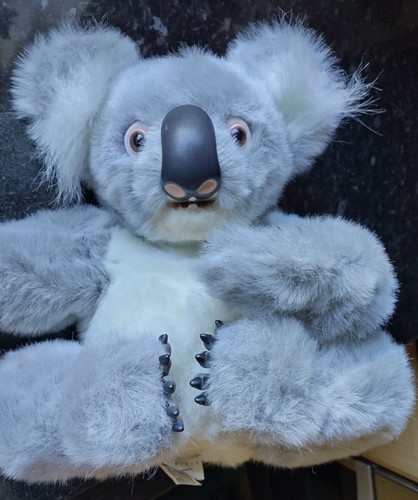 Very rare fur - rare, koala