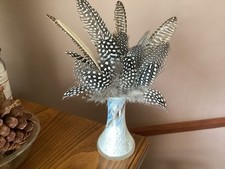 Guinea  Fowl Feathers  Crafts Card Making Fly Tying Arts