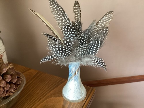 Guinea fowl feathers crafts - fowl,