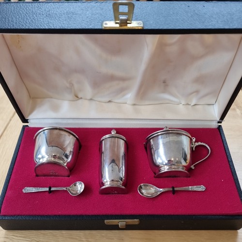 Solid silver irish - cruet,