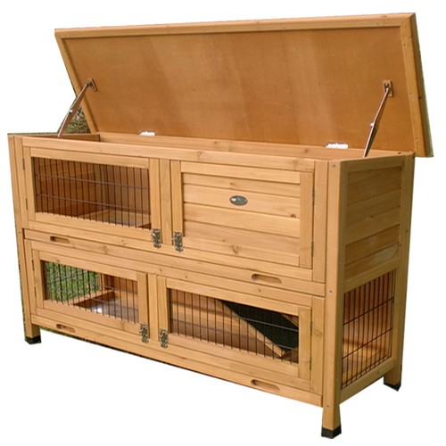 Rabbit hutch roger - rabbit, guinea