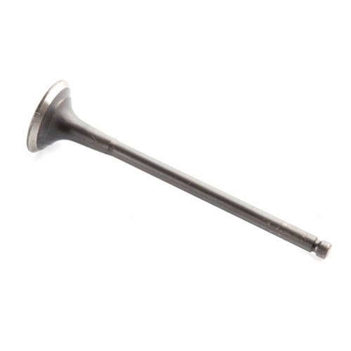 Exhaust valve for multiple - exhaust,