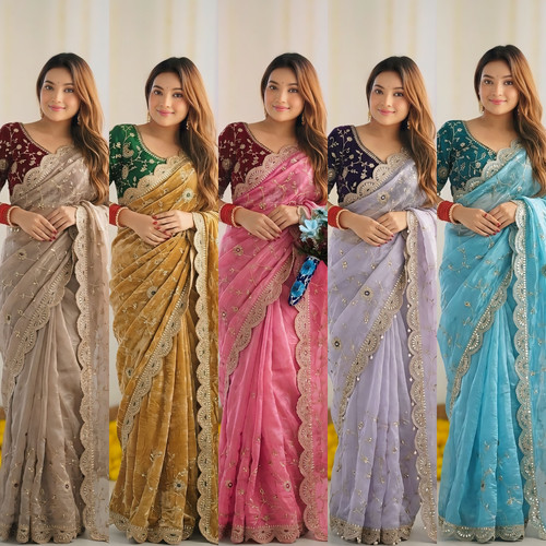 Bollywood saree blouse - bollywood, indian