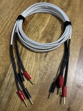 QED Silver Anniversary XT