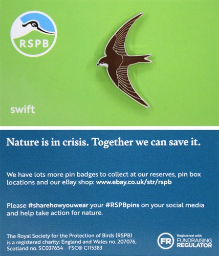Rspb pin badge niic swift - rspb,