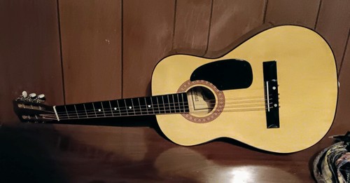 Synsonics fg9o7sg acoustic - synsonics,