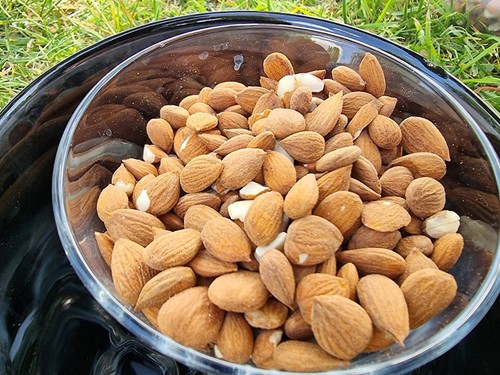 Organic raw sweet - organic,