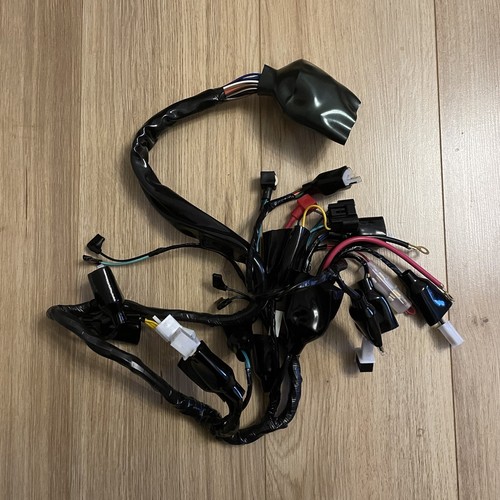 New main wiring loom - wiring,